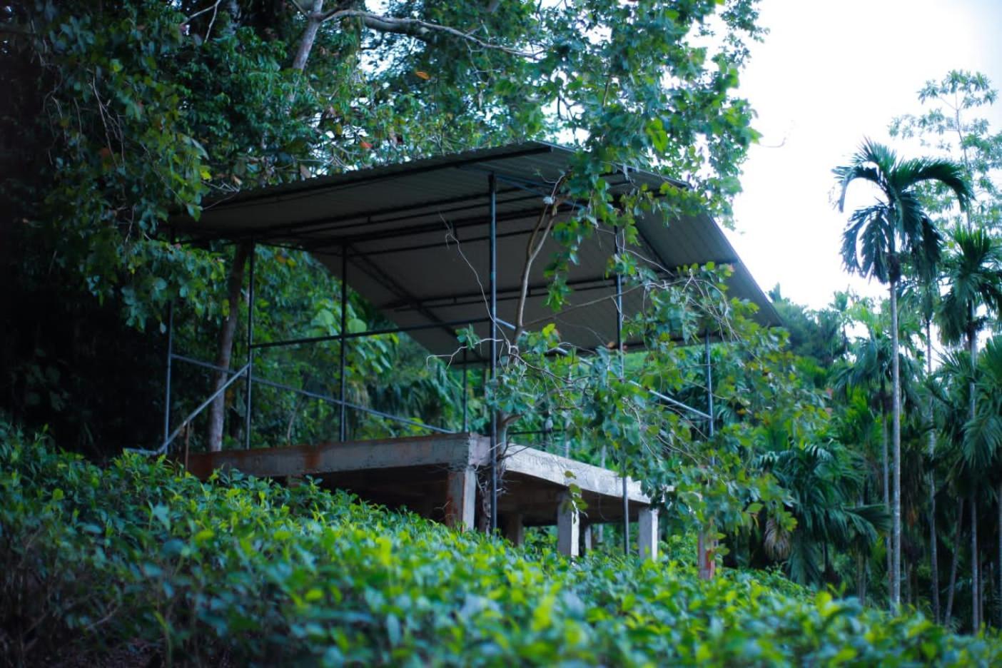 Rainforest Lodge, Deniyaya Exteriör bild