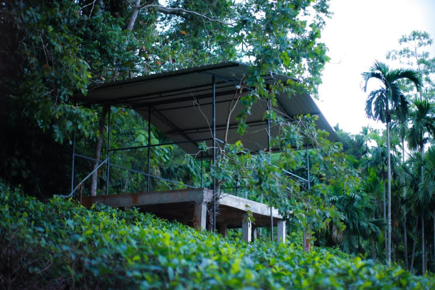 Rainforest Lodge, Deniyaya Singheraja Exteriör bild