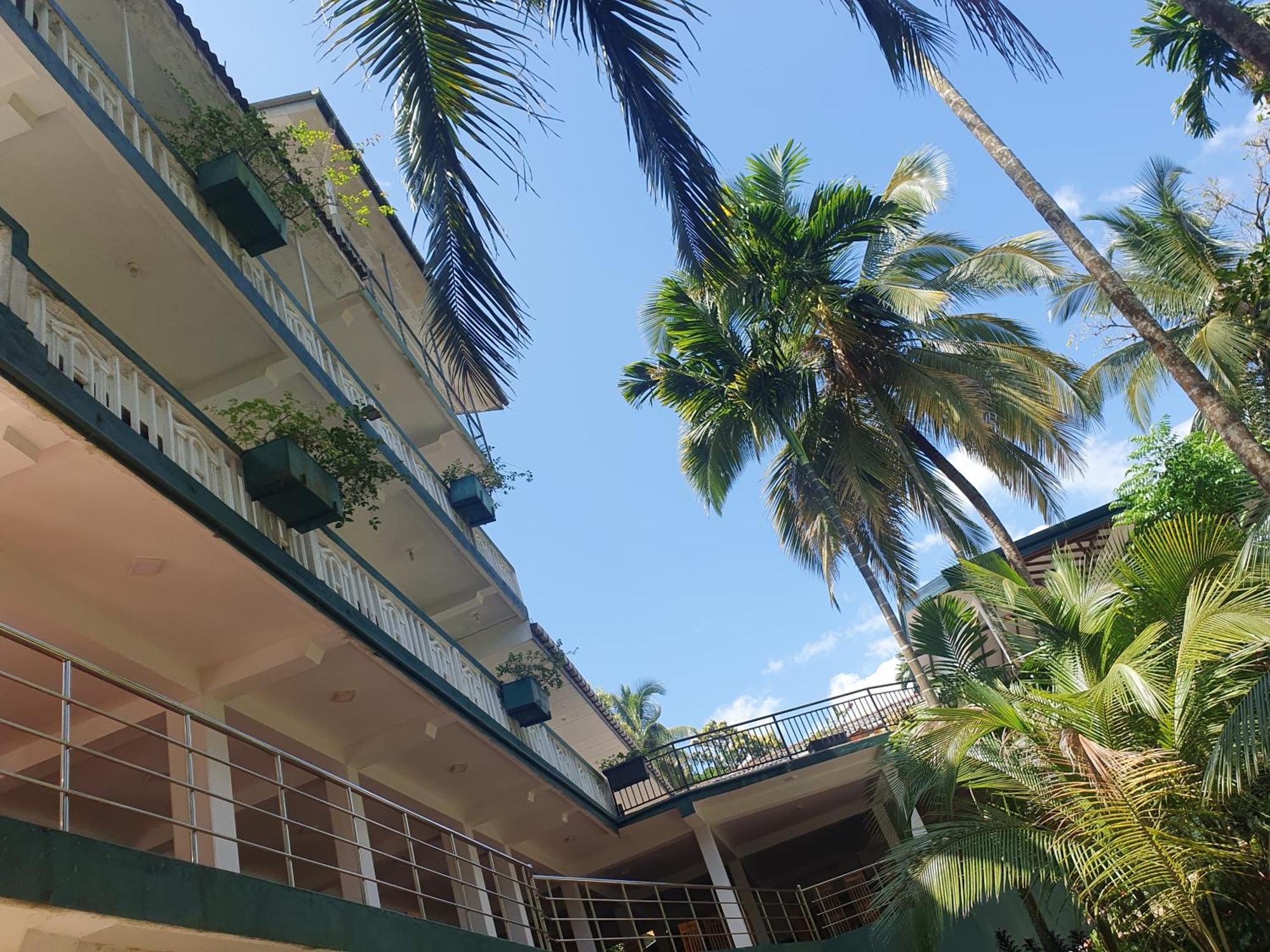 Rainforest Lodge, Deniyaya Singheraja Exteriör bild