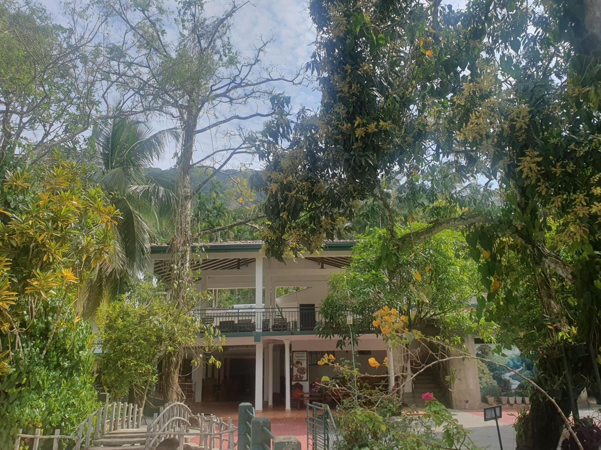 Rainforest Lodge, Deniyaya Singheraja Exteriör bild