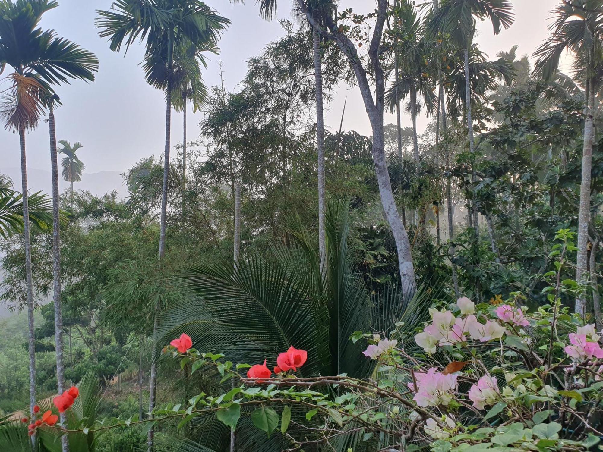 Rainforest Lodge, Deniyaya Singheraja Exteriör bild