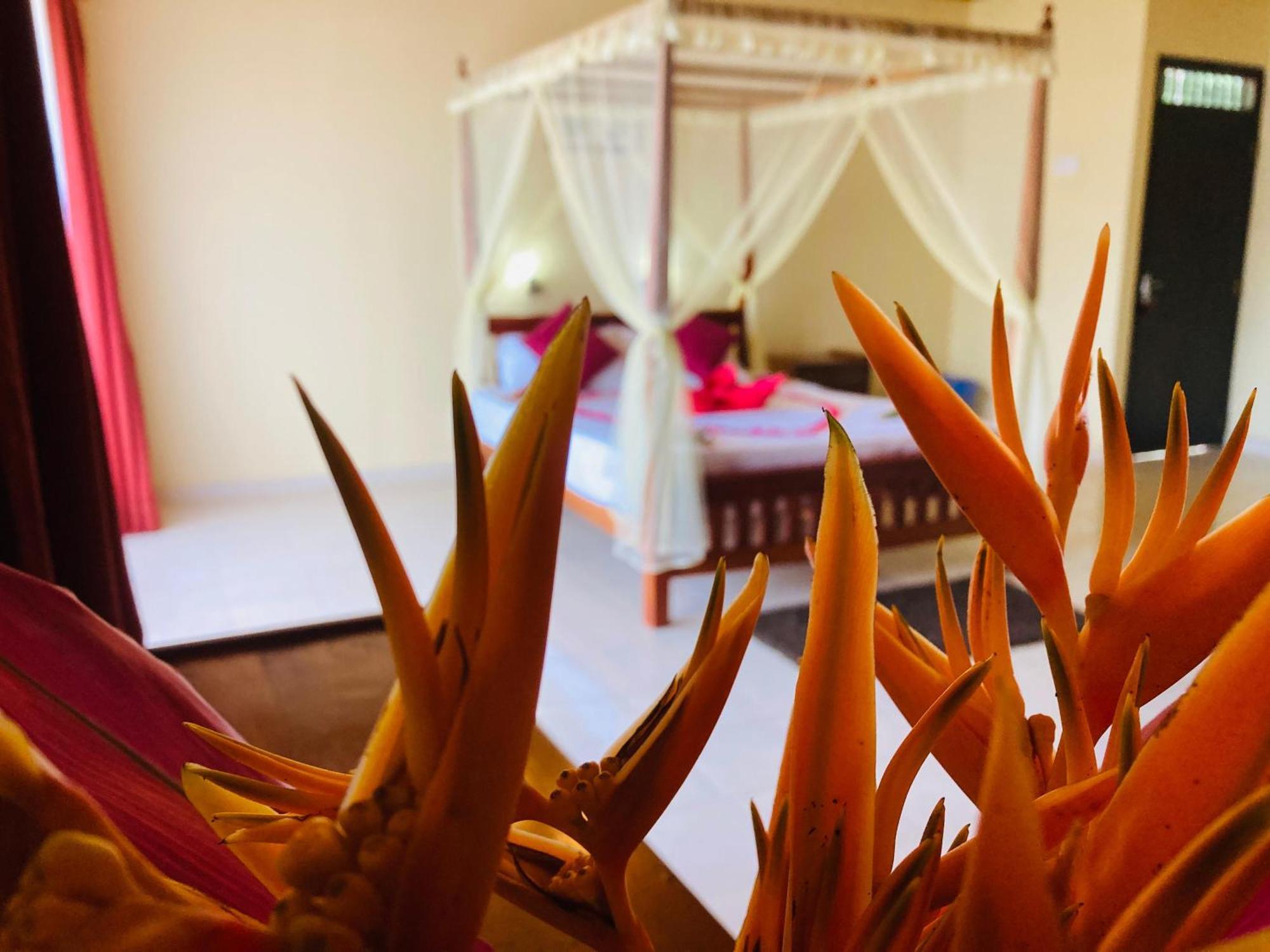 Rainforest Lodge, Deniyaya Singheraja Exteriör bild
