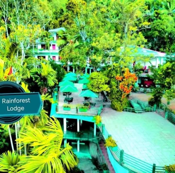 Rainforest Lodge, Deniyaya Singheraja Exteriör bild