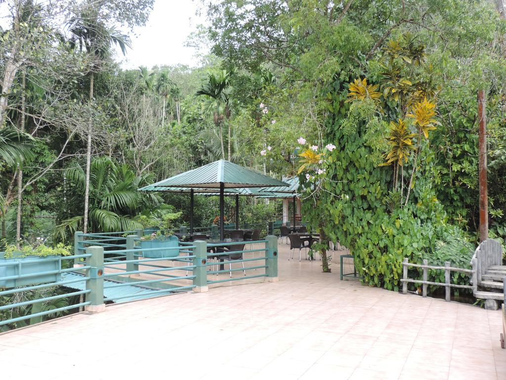 Rainforest Lodge, Deniyaya Exteriör bild